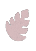 Fintroller